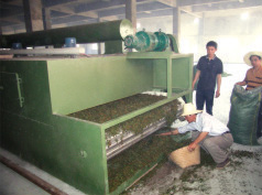 DWT series of drier for dehydrated vegetables